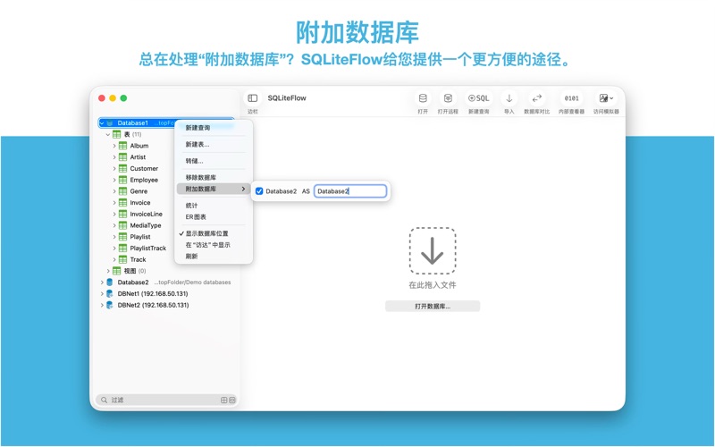 SQLiteFlow - SQLite编辑器 screenshot