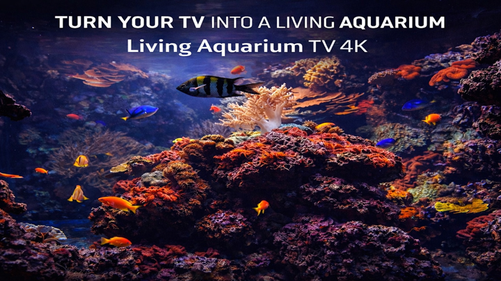 Screenshot #1 pour Living Aquarium TV 4K