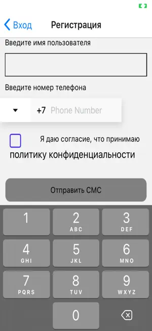 СиАйТи терминал screenshot 2