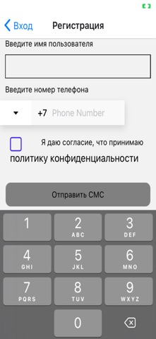 СиАйТи терминал screenshot