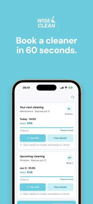 WiseClean screenshot 1