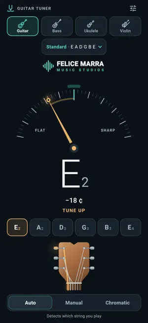 Guitar Strings Tuner screenshot 2