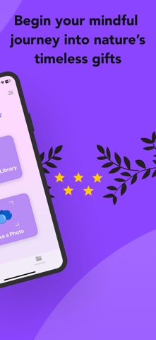 WildForager: Foraging ID Guide screenshot