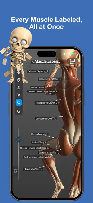 Art Anatomy screenshot 4