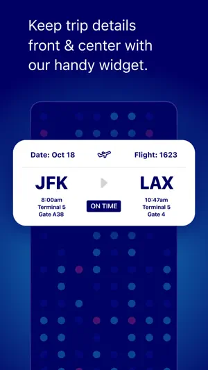 JetBlue screenshot 8