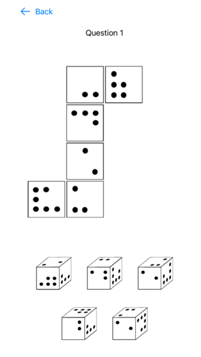 PilotPass Psychometric Test Screenshot