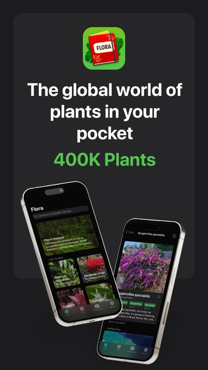 Flora - Explore & ID Plants