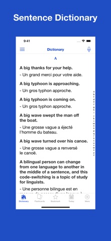 English French Sentences のスクリーンショット