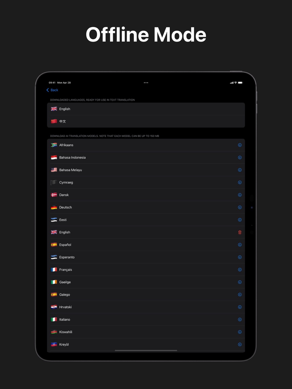 iPad screenshot