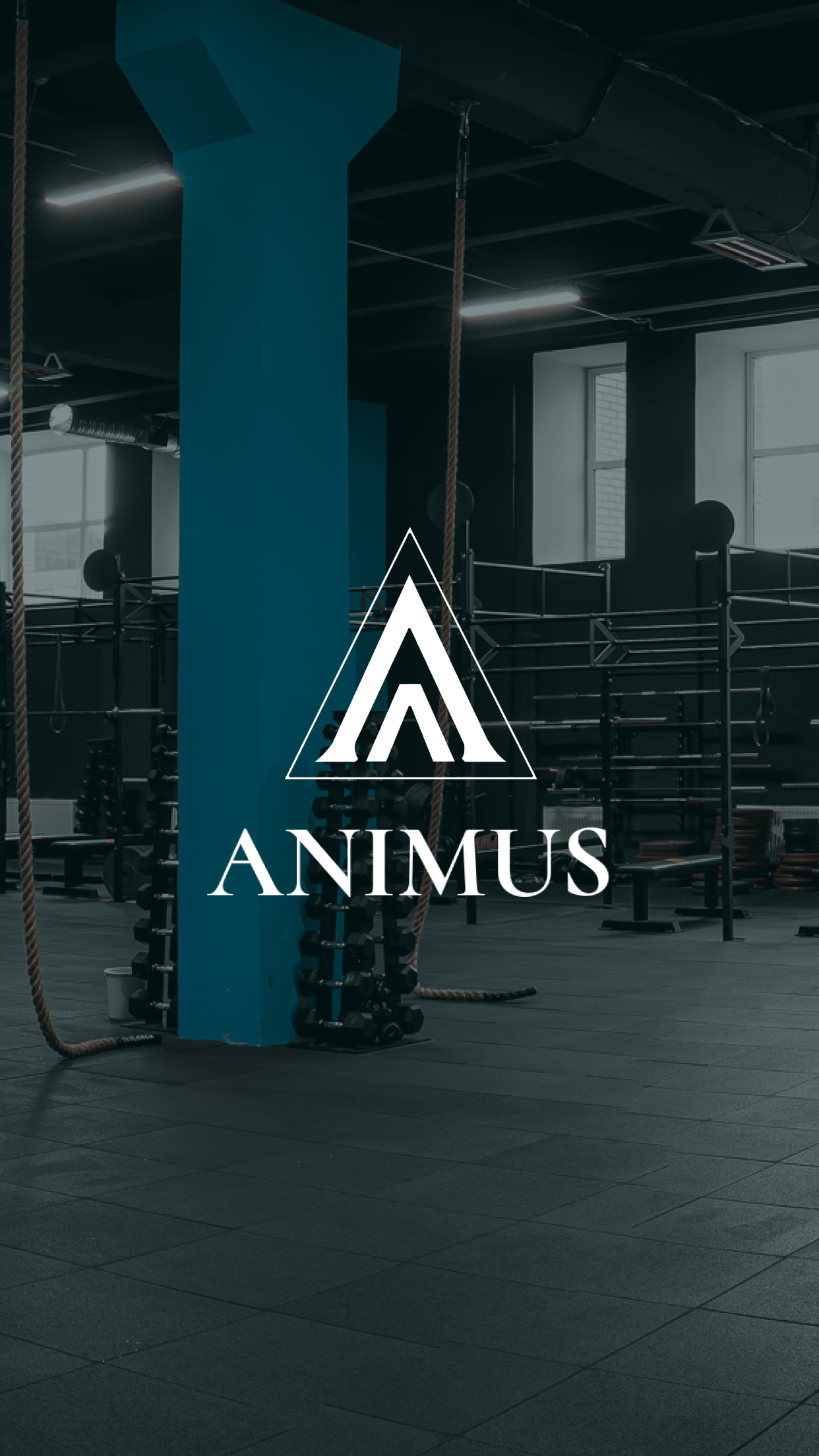 Animus Elite
