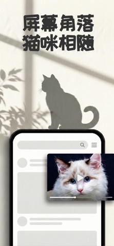 屏幕角落的画中画猫咪 - 隅猫 screenshot