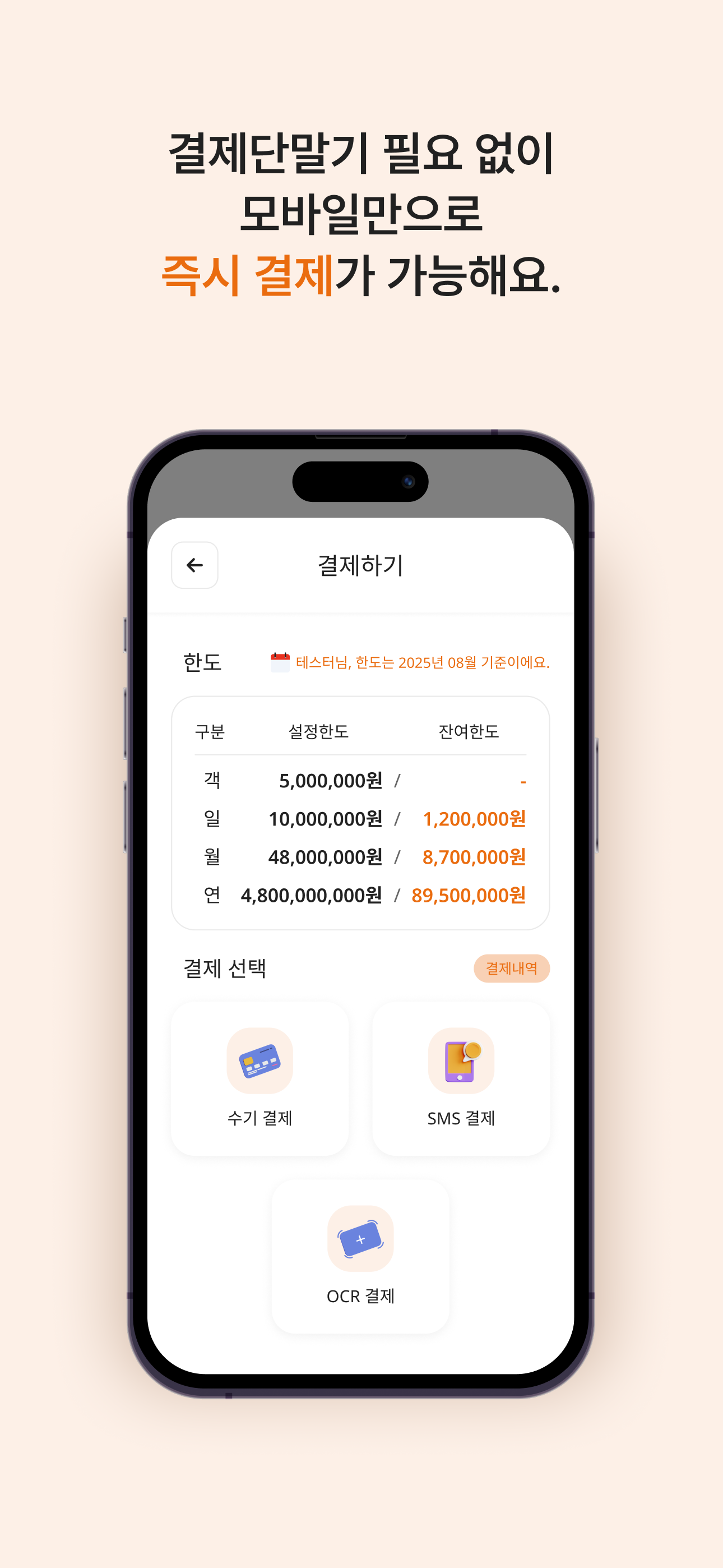 리온페이 (lionpay)