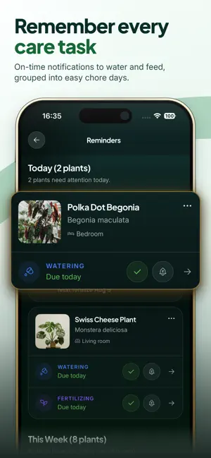 Folly: Plant Identifier & Care screenshot 4