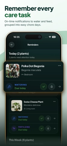 Folly: Plant Identifier & Care Screenshot 4 of 8