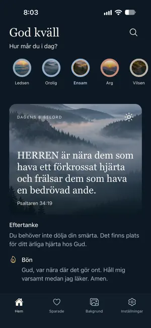 Daily Light: Bible & Prayer screenshot 3