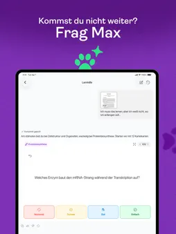 Studyflash: AI Study App screenshot 13