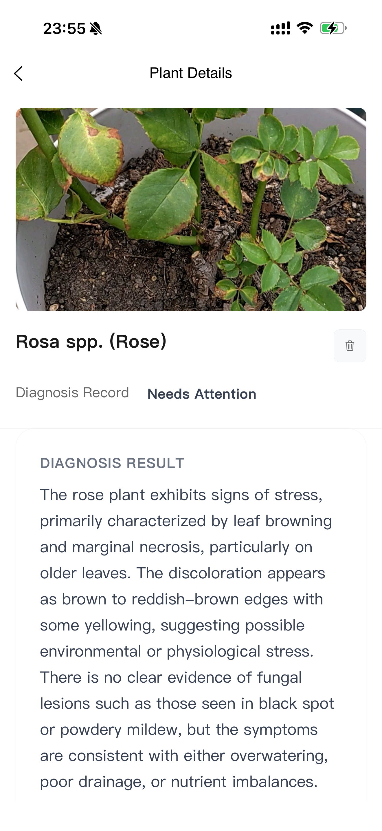 PlantGenius AI -Smart Gardener