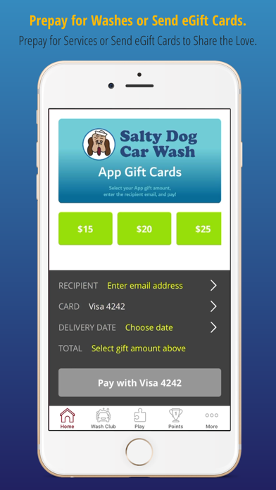Salty Dog Car Wash Screenshot