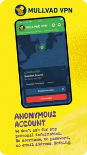 Mullvad VPN screenshot 1