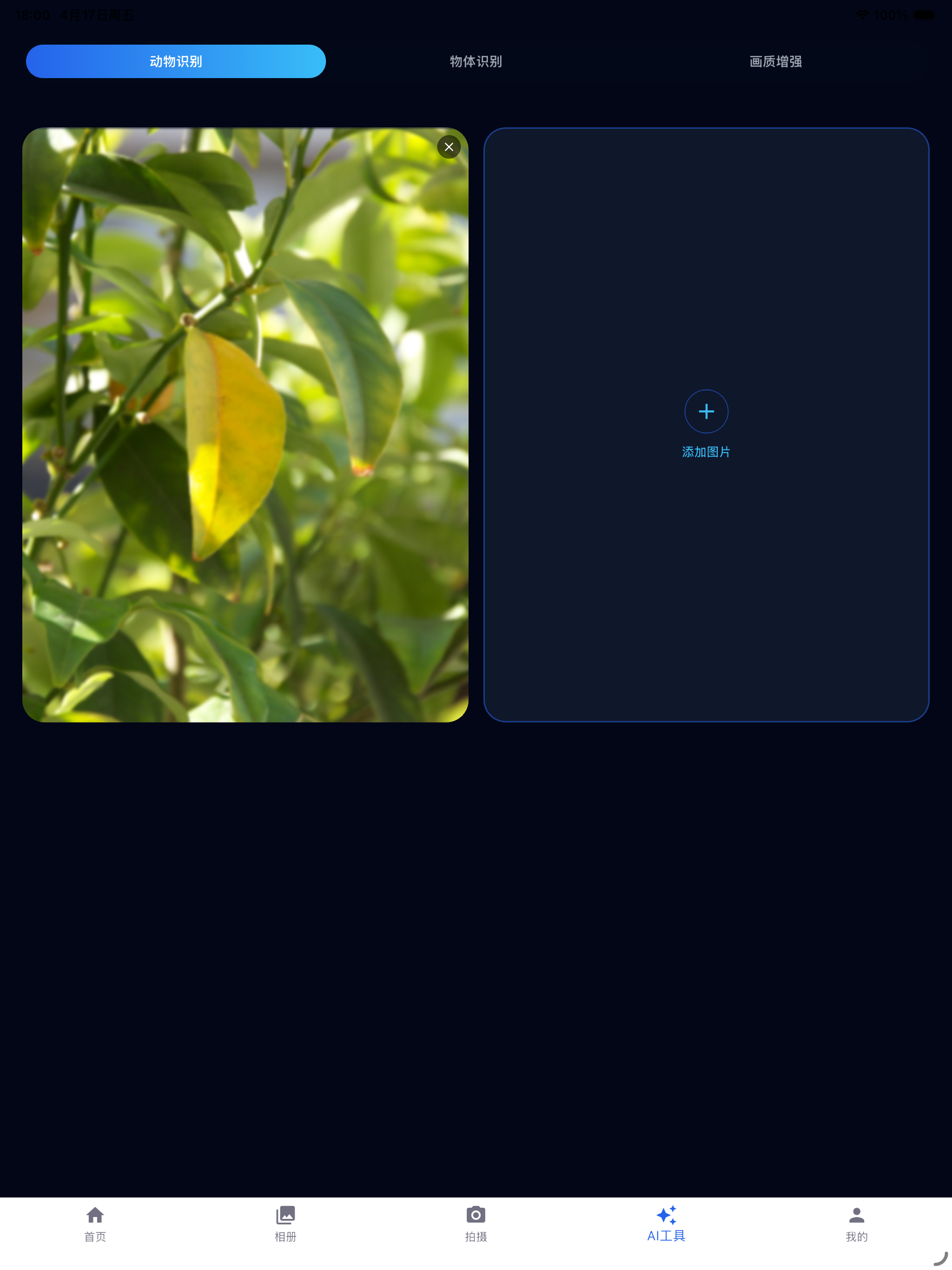 观立拍 screenshot 6