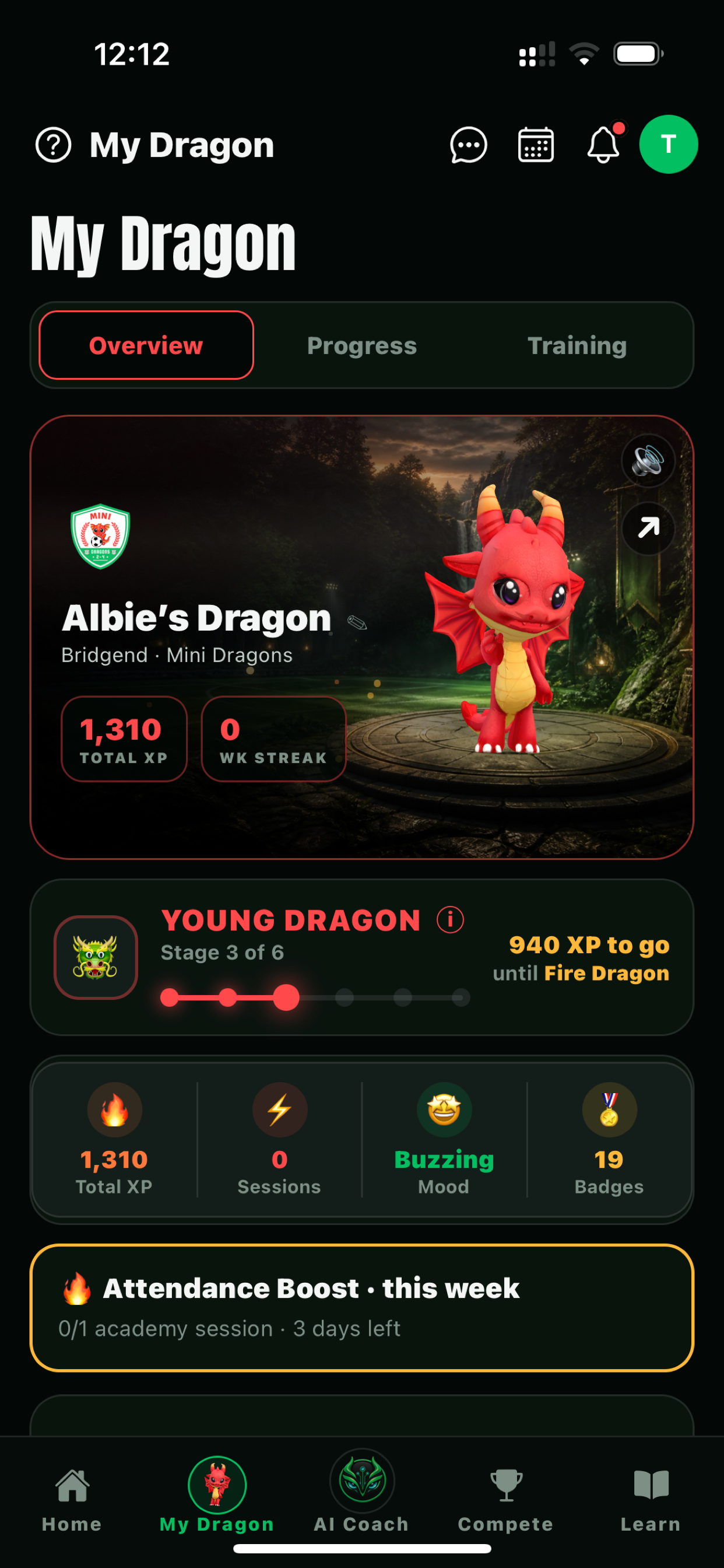 Dragon Players screenshot 2