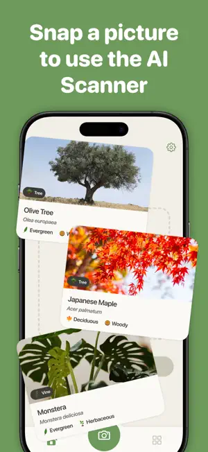 Tree Identifier by TreePic screenshot 2