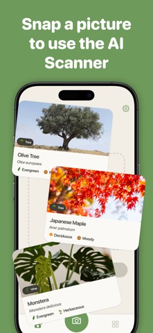 Tree Identifier by TreePic Screenshot 2 of 7
