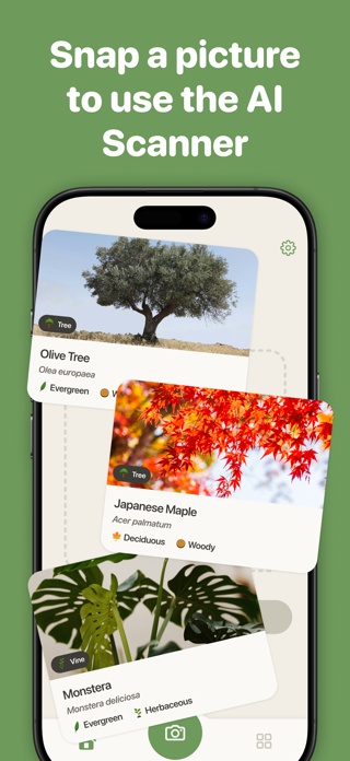 Tree Identifier by TreePic Screenshot 2 of 7