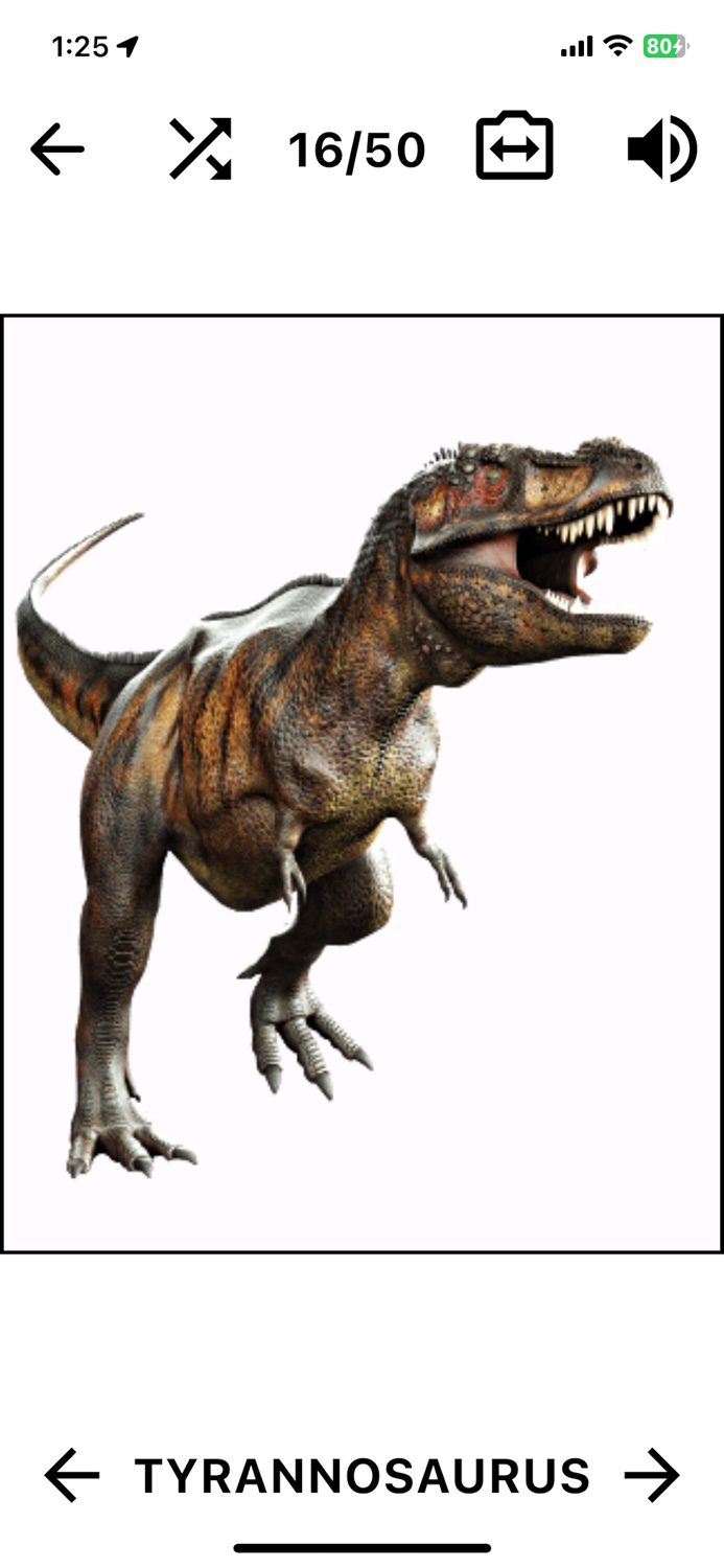 Dinosaur Flashcard Quiz