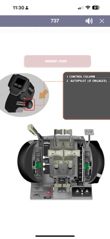 737 Virtual Panel LITE screenshot