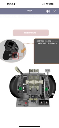 737 Virtual Panel LITE screenshot 4