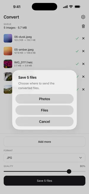 BatchPixel: Image Converter screenshot 3