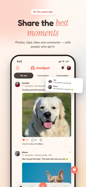 Amidipet: Dog Walks & Friends screenshot 2