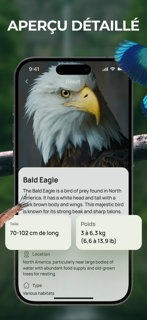 Bird Identifier & Guide screenshot 2