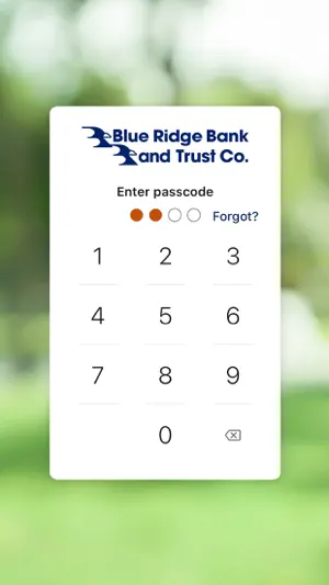Blue Ridge Bank and Trust screenshot 2
