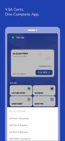 IIA Audit Prep: with AI screenshot