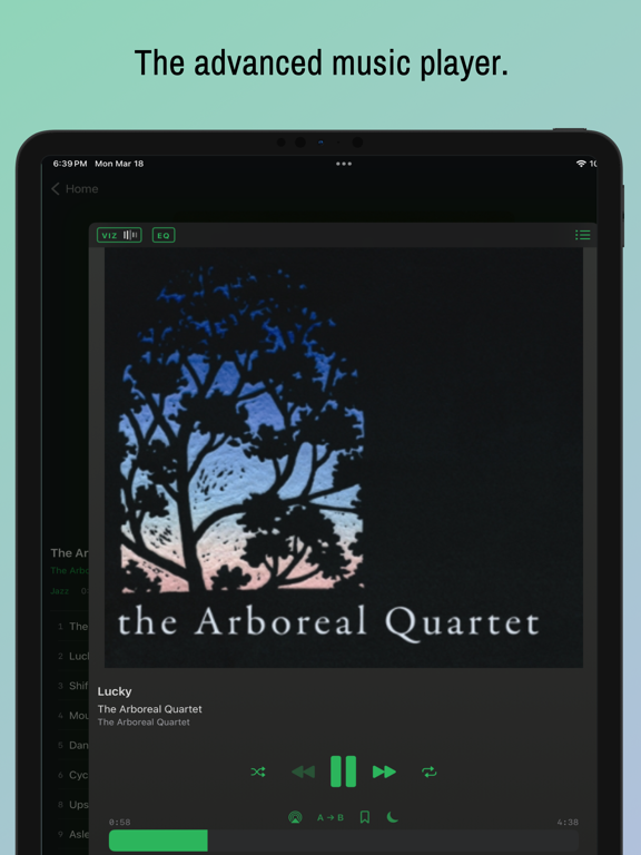Muziqi - Pro Music Player