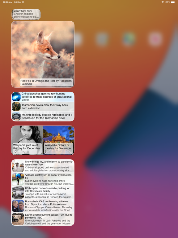 Screenshot #4 pour Widget RSS