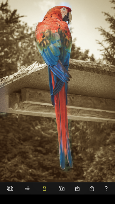 Color Focus Lens Screenshot