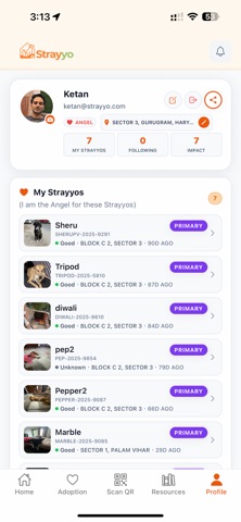 Strayyo Screenshot 4 of 5