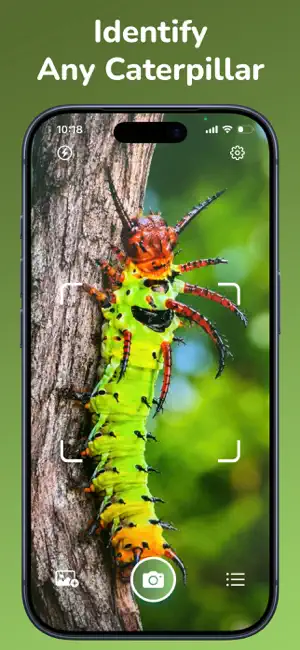 Caterpillar Identifier－Scan AI screenshot 1