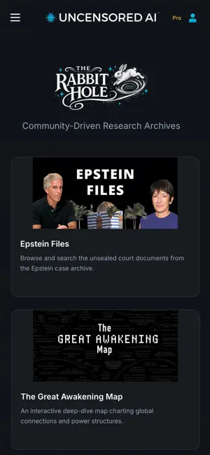 Uncensored AI iPhone screenshot 4