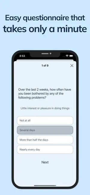 PHQ-9 self assessment screenshot 2