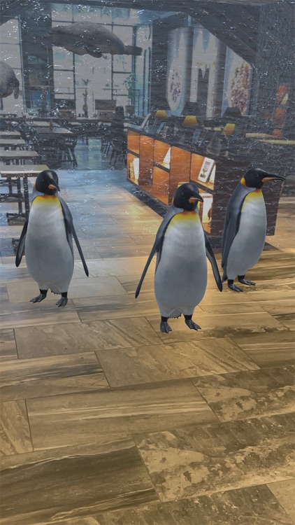 ARどうぶつえん outside