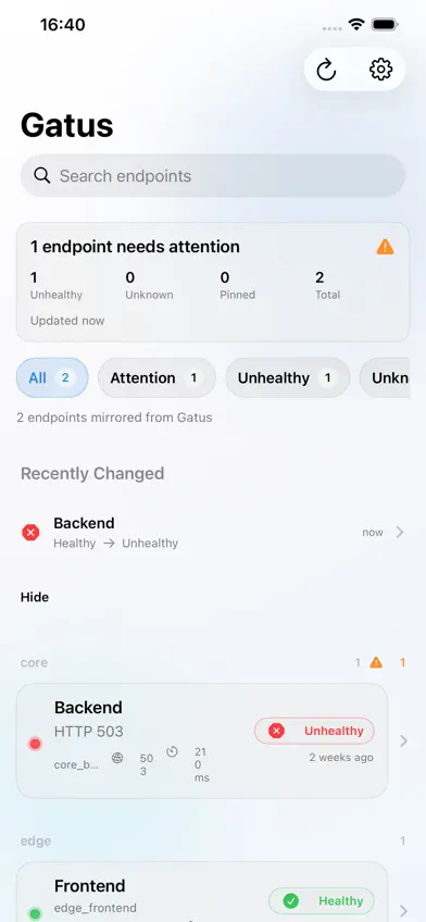 GatusPocket screenshot 5