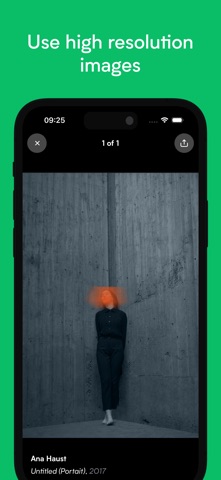 ITGallery: Art Collection Tool screenshot