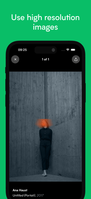 ITGallery: Art Collection Tool Screenshot 3 of 3