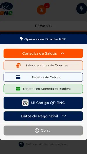 BNC screenshot 2