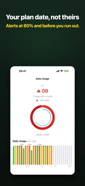 Data Widget: remaining data screenshot 3