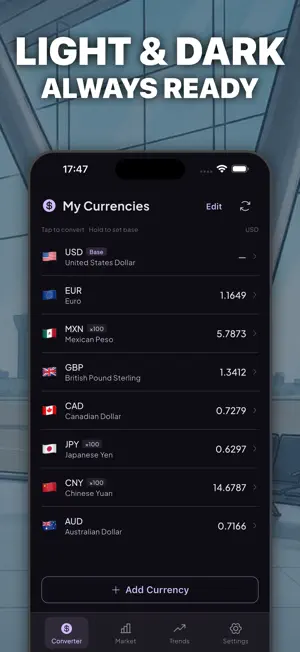 Offline Money Converter screenshot 3